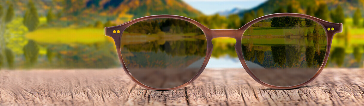 Polarized Sunglasses