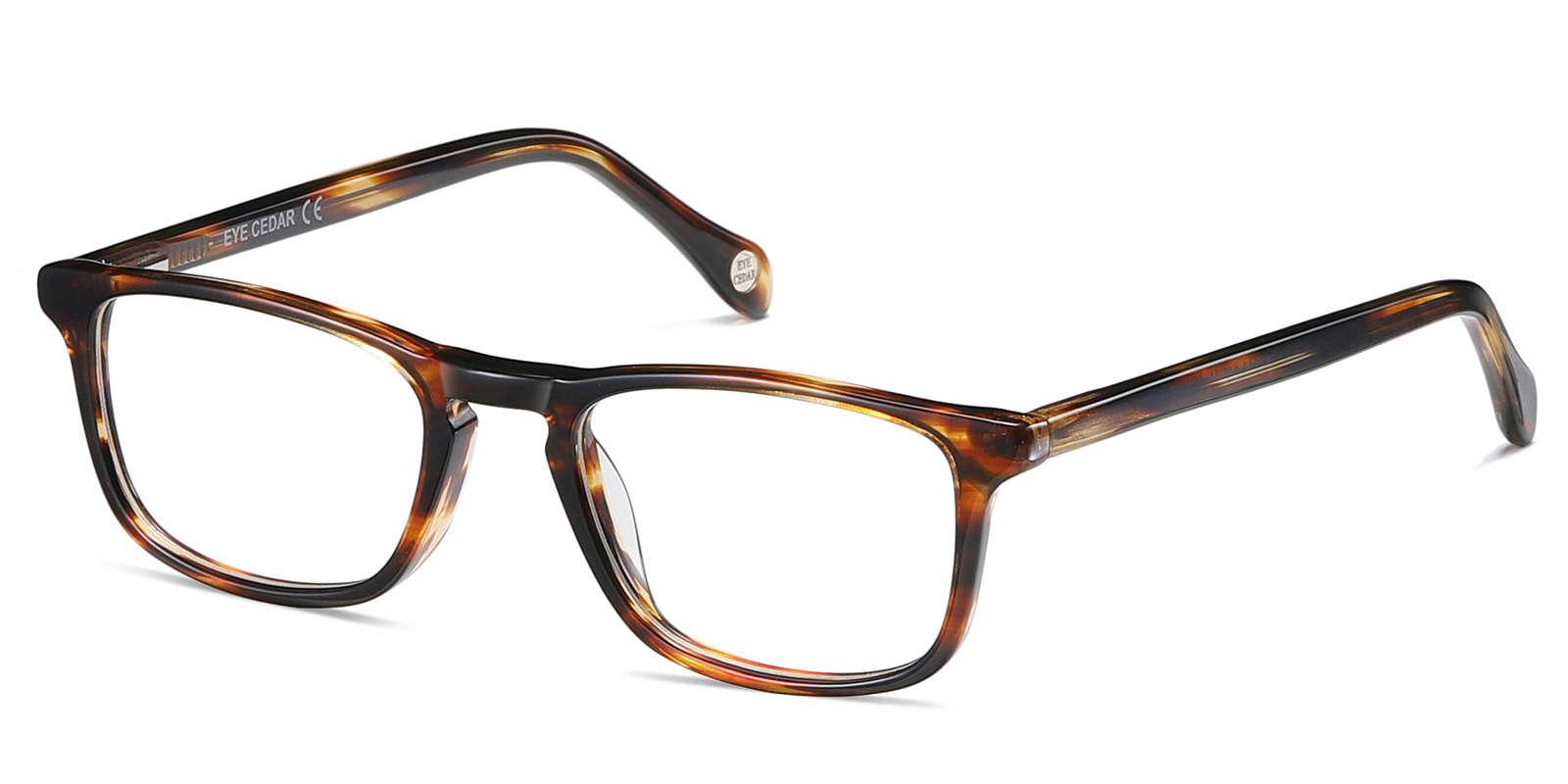 EYE8085-Swarn-tortoise