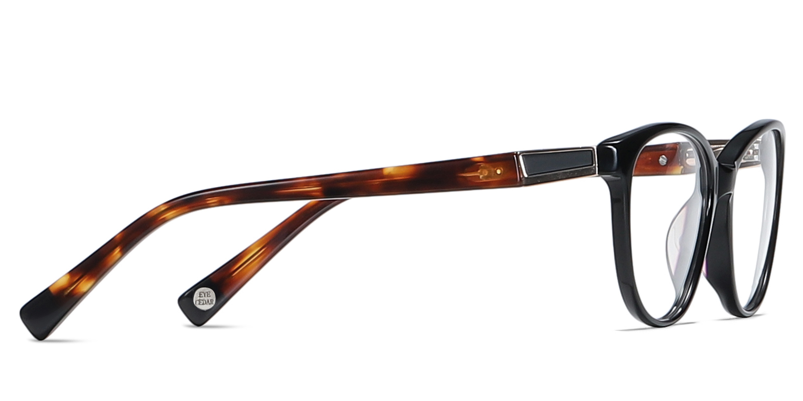 EYE8081-1-Chechin-tortoise