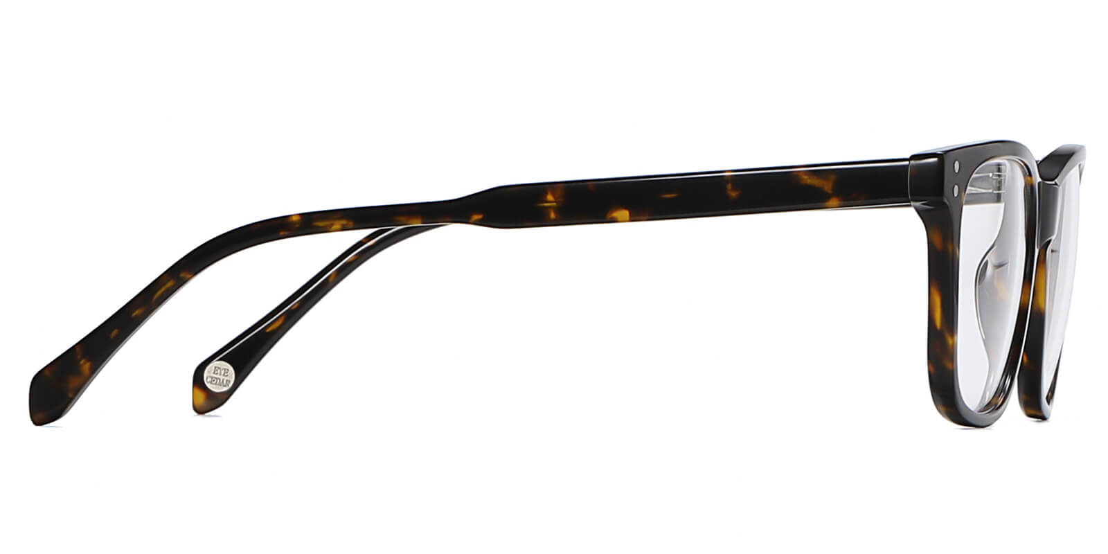 EYE8003-Grefor-tortoise