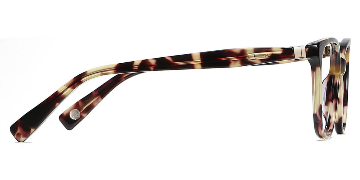 EYE8052-1-Aulia-tortoise 3