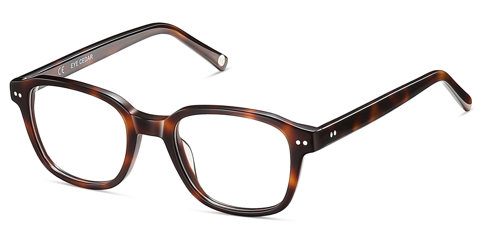 8982TL-Nevo-tortoise