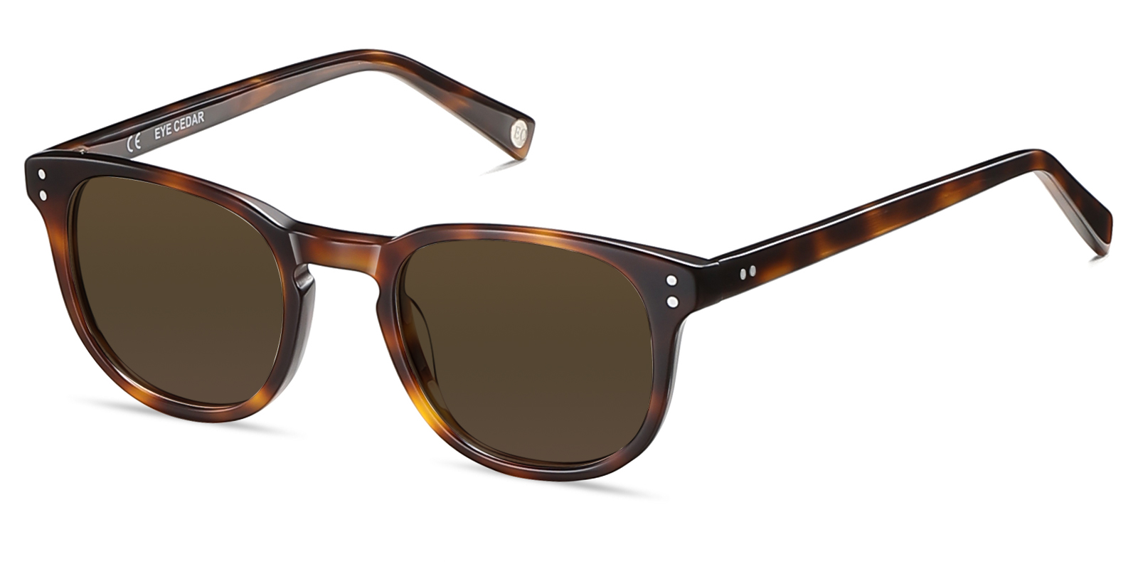 S8995TL-Kodie-tortoise