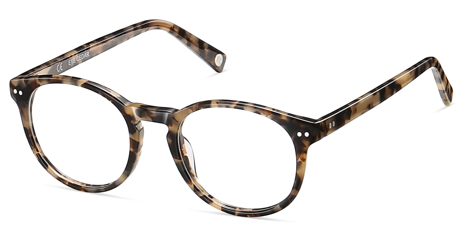 8895TL-Quada-tortoise