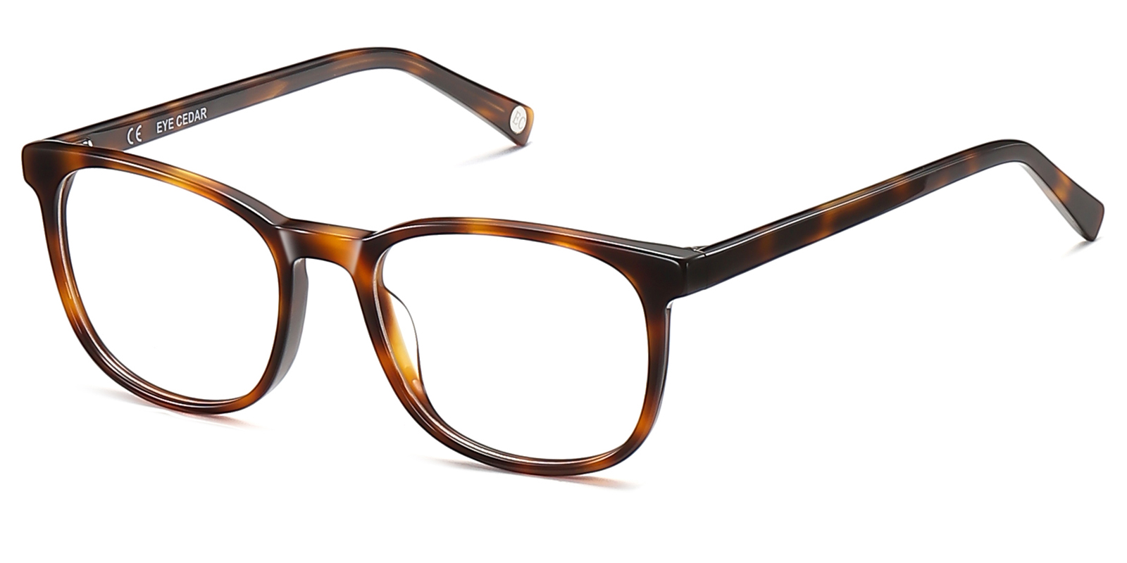 9851TL-Vindu-tortoise