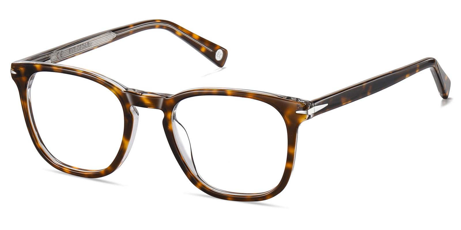 8896TO-Gaise-tortoise