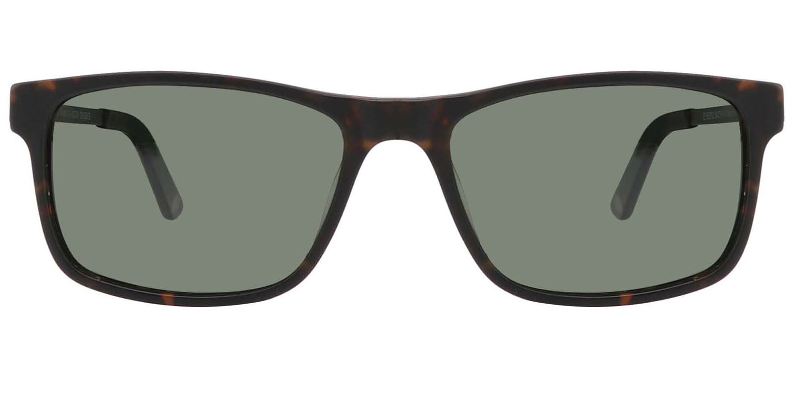 EYE8062S-Bligh-tortoise