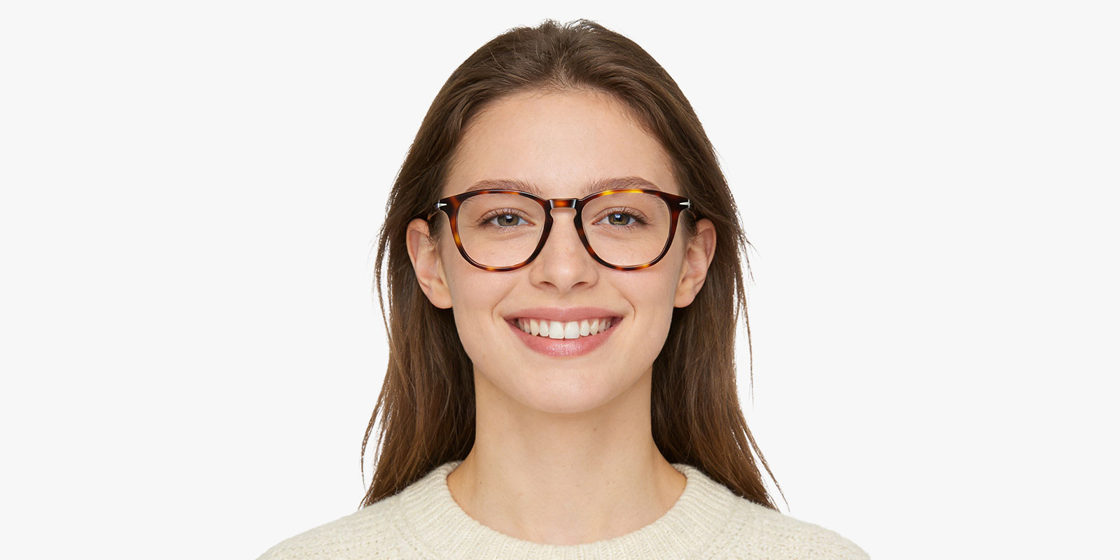 8872TO-Dico-tortoise_pc_2