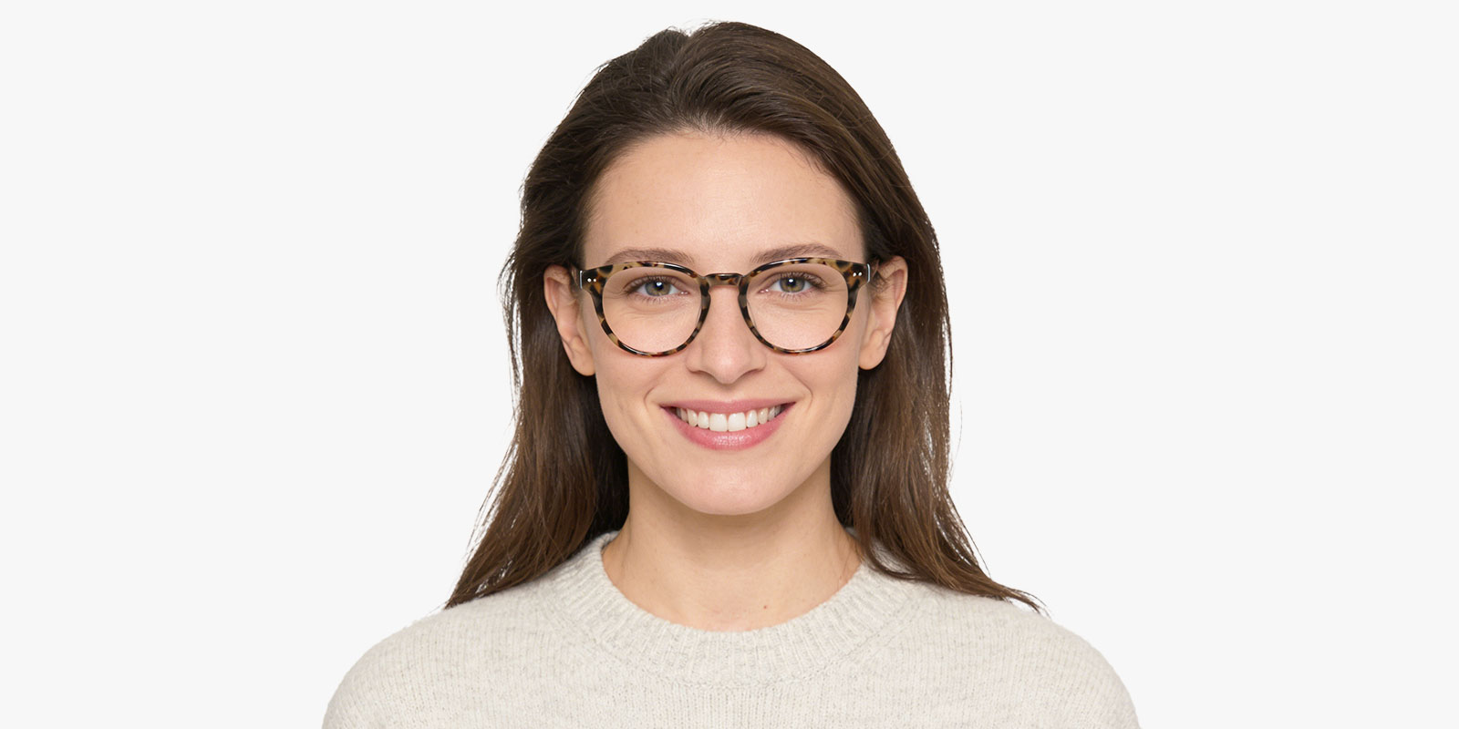 8886TL-Imure-tortoise_pc_2