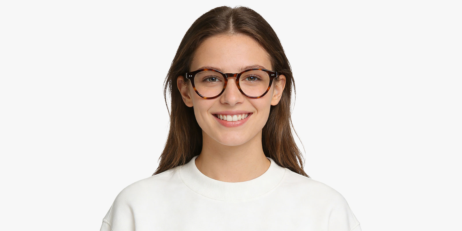 8887TL-Humoni-tortoise_pc_2