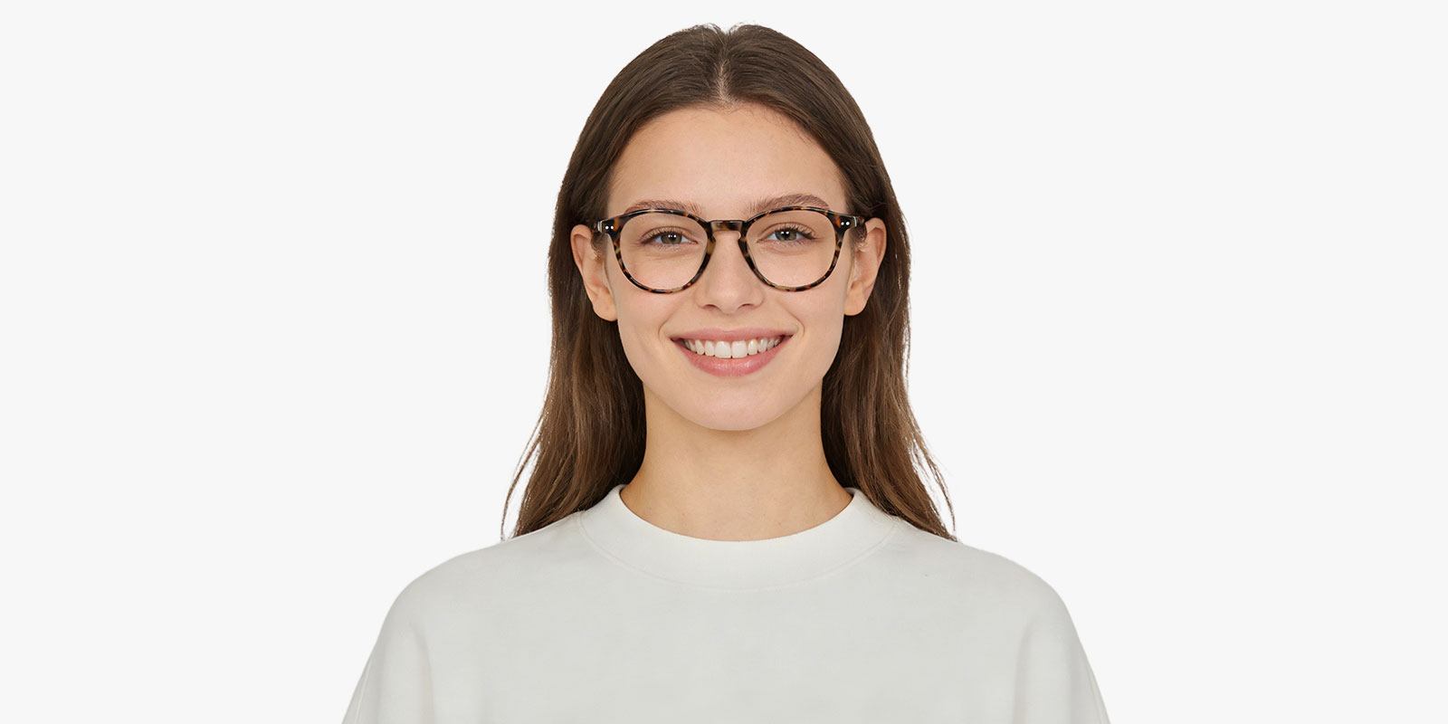 8997TL-Jutil-tortoise_pc_2