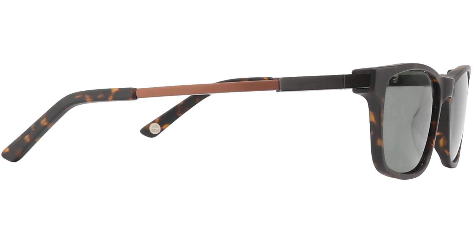 EYE8062S-Bligh-tortoise