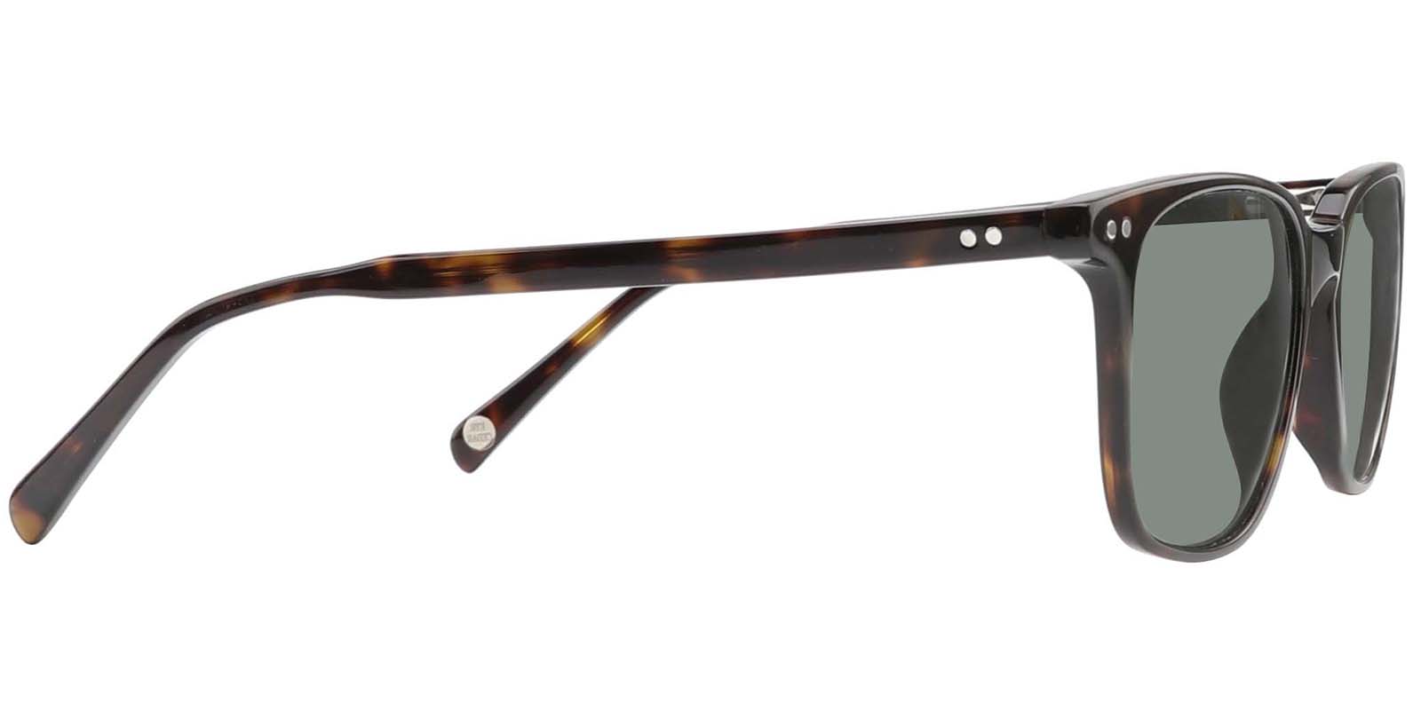 EYE8071S-Noirrin-tortoise