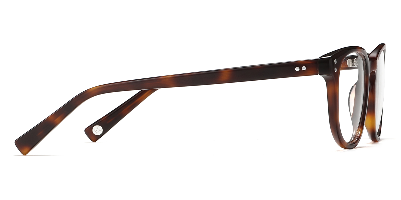 8995TL-Kodie-tortoise