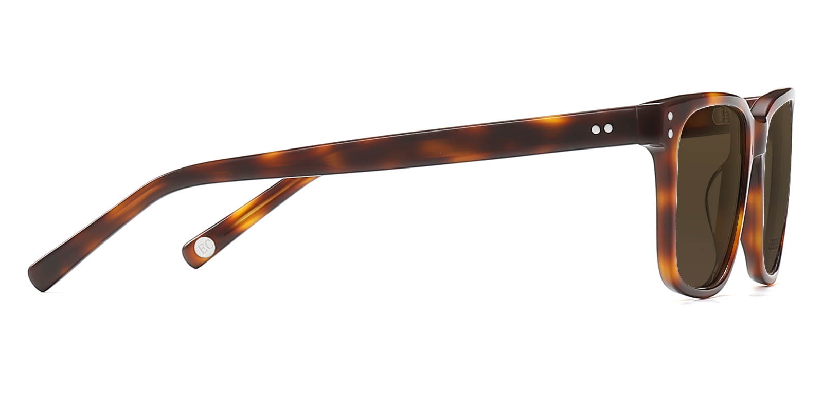 S8985TL-Duben-tortoise