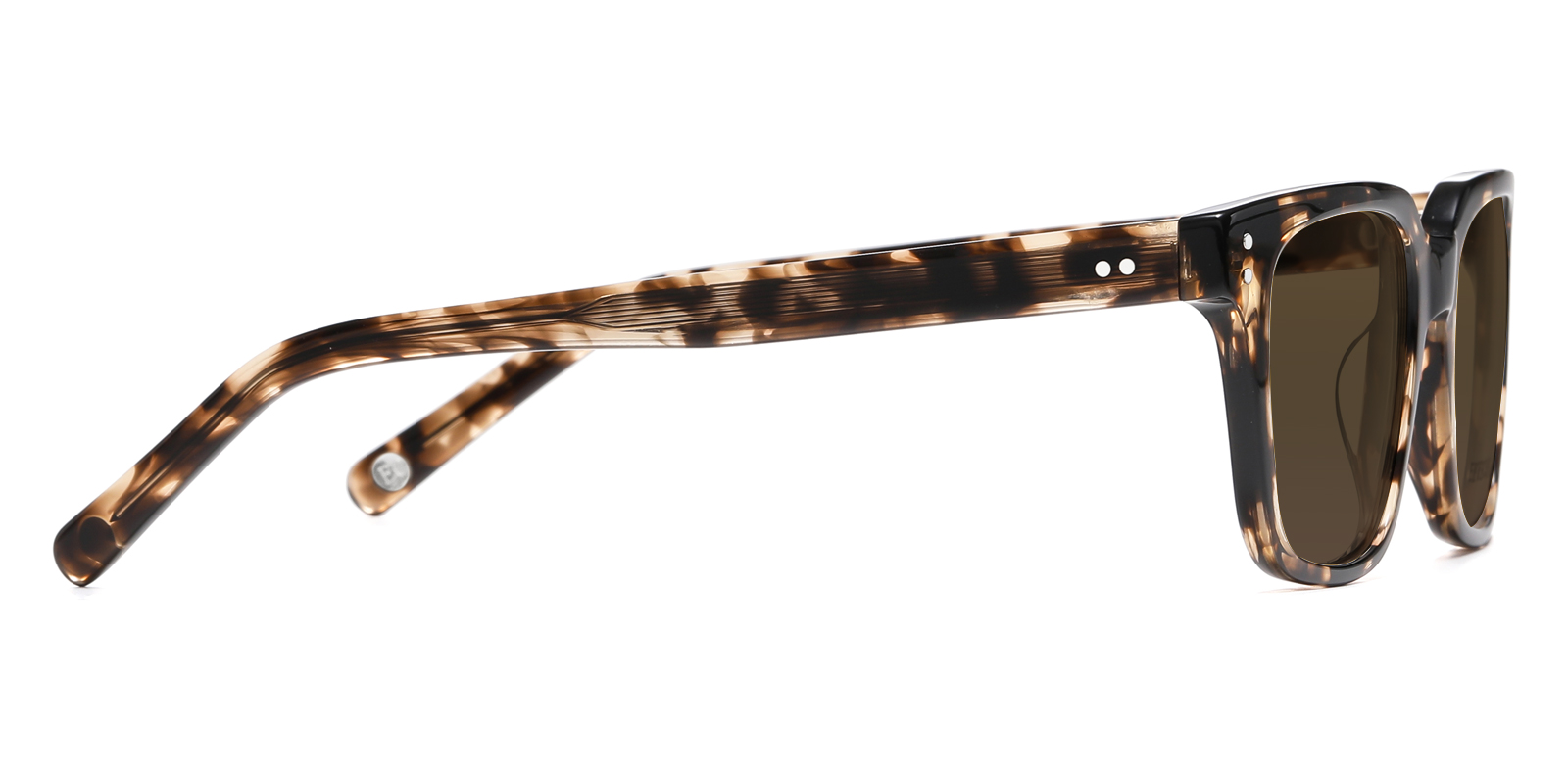 S8776TL-Faro-tortoise