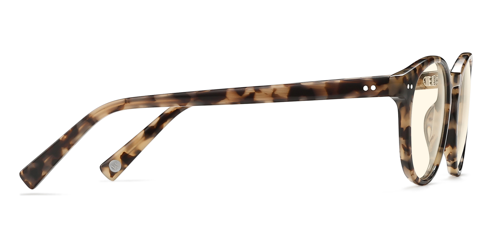 BY8895TL-Quada-tortoise