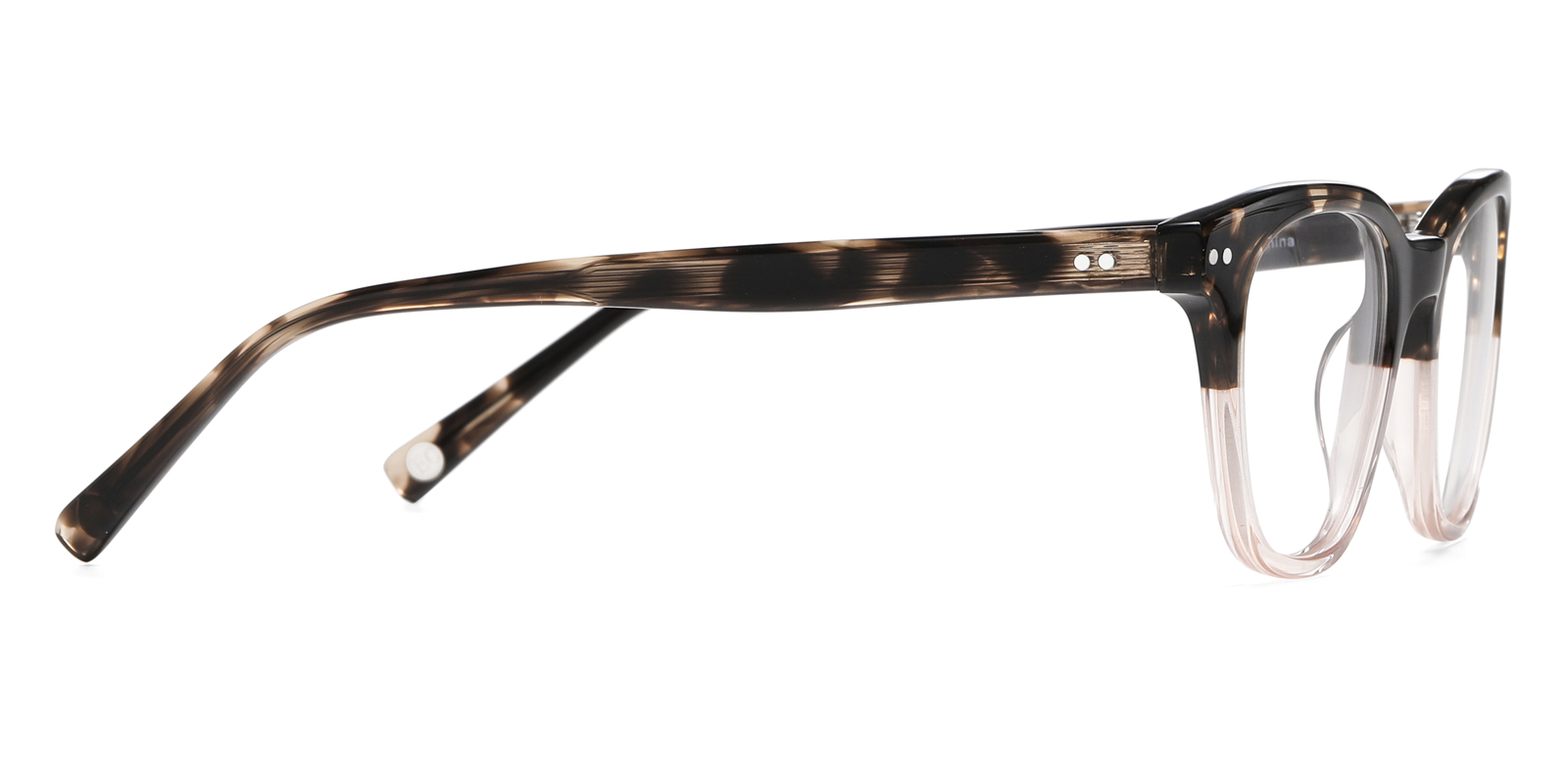 8975TL-Ublich-tortoise