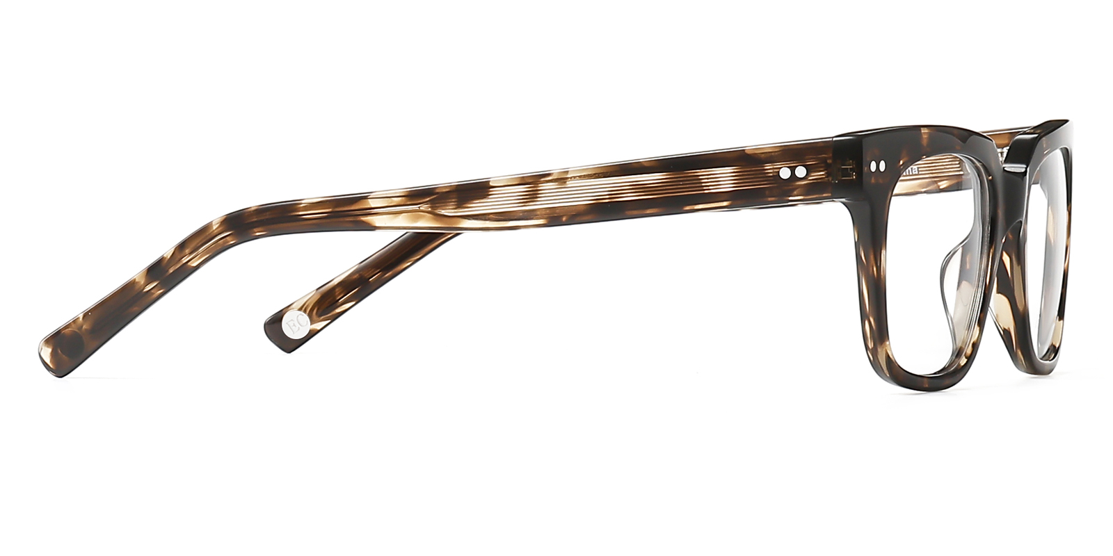 8885TL-Hugu-tortoise