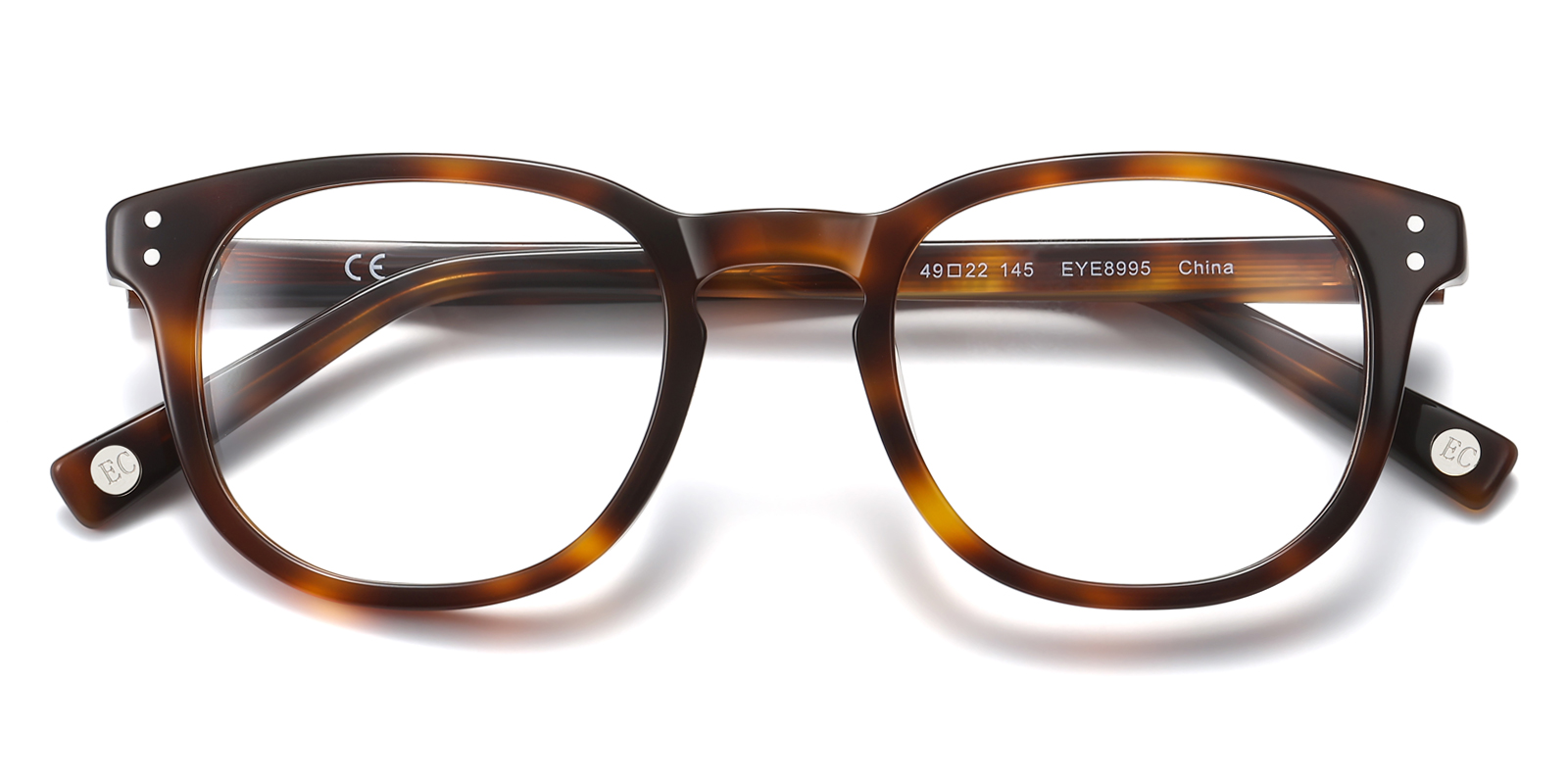 8995TL-Kodie-tortoise