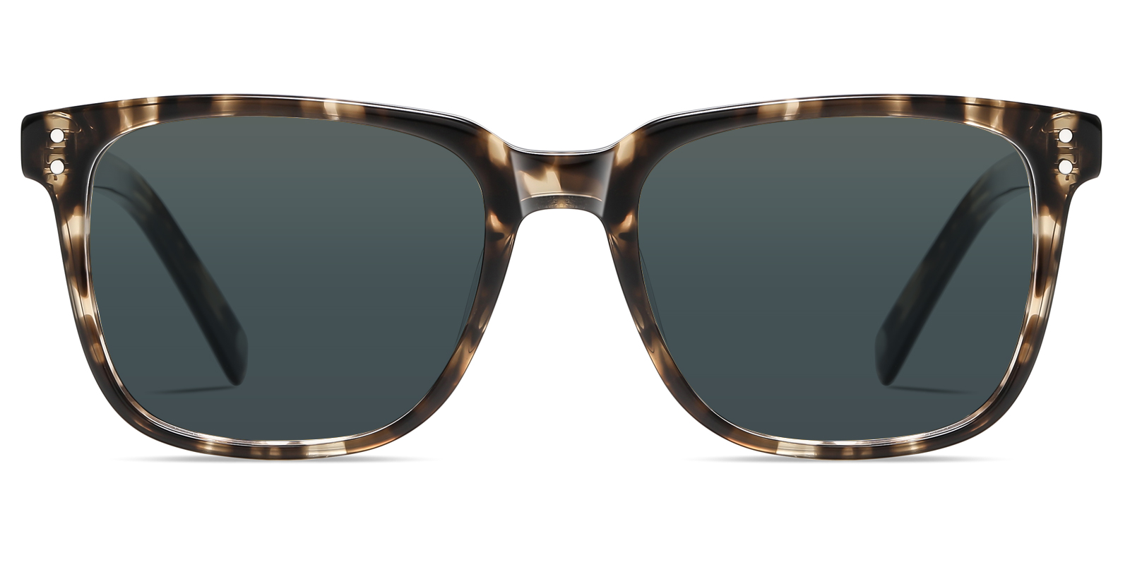 S8986TL-Ogens-tortoise