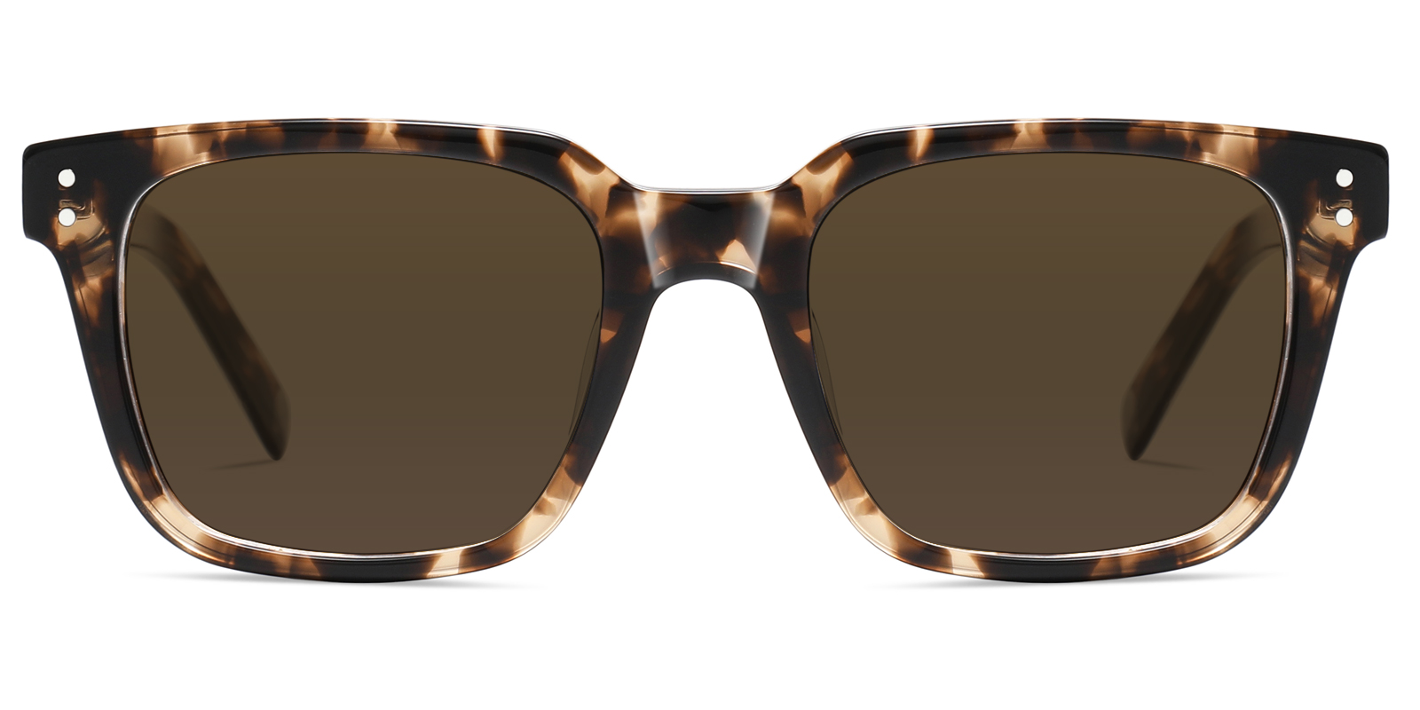 S8776TL-Faro-tortoise