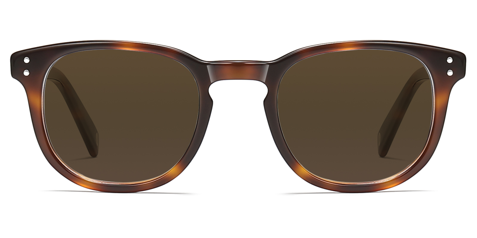 S8995TL-Kodie-tortoise