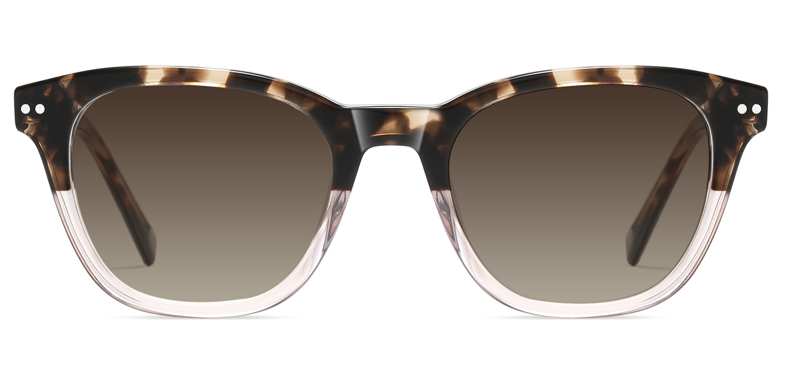 S8975TL-Ublich-tortoise
