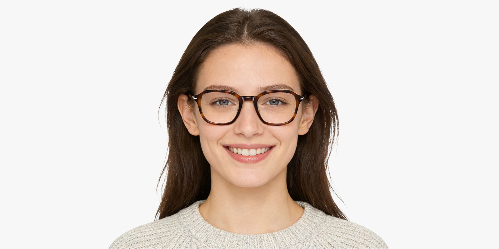 8972TL-Rimili-tortoise_pc_2