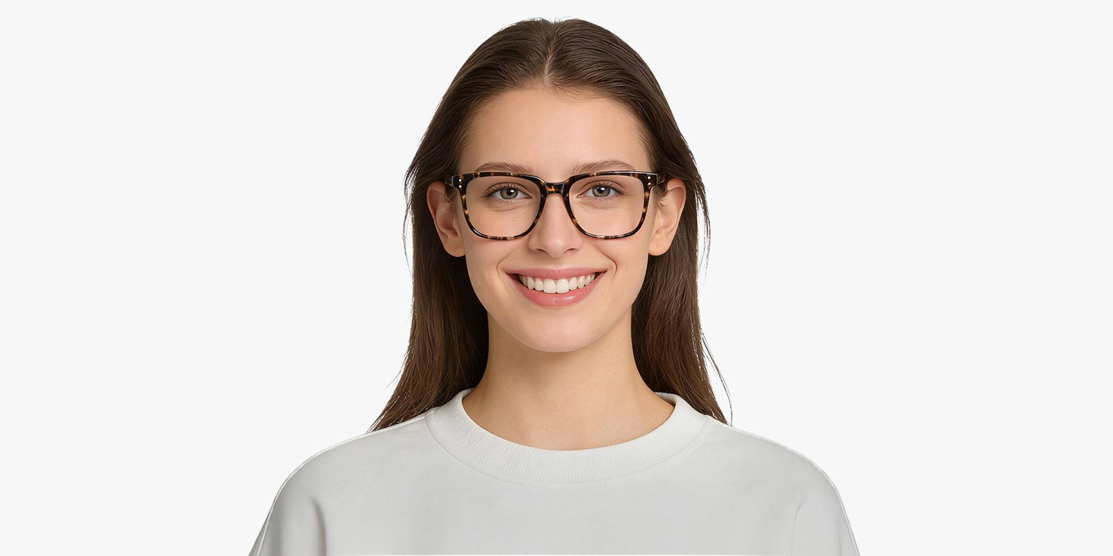 8986TL-Ogens-tortoise_pc_2