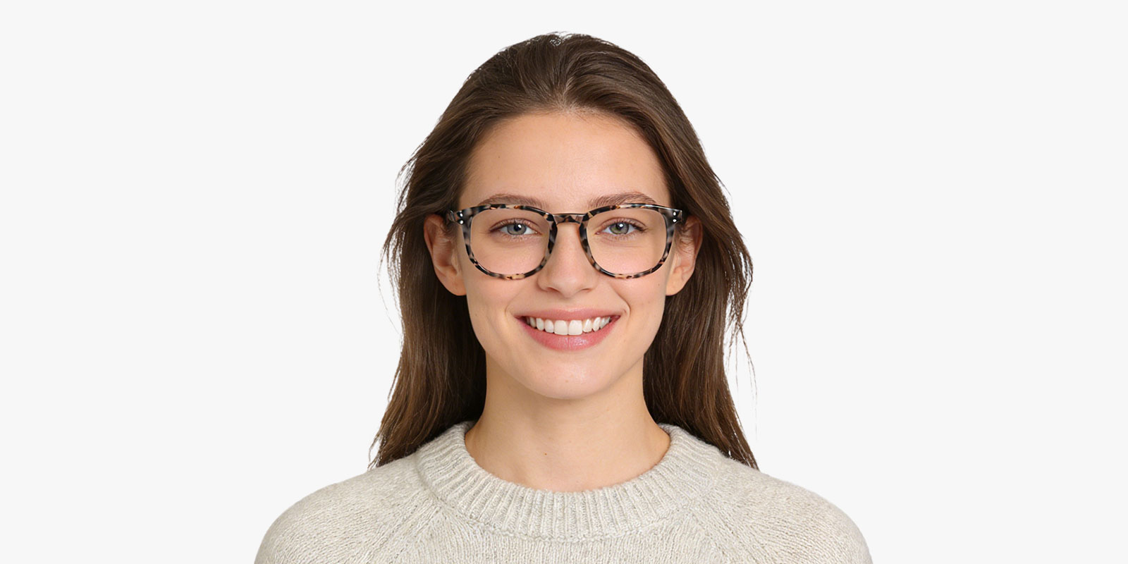 8996TL-Tuten-tortoise_pc_2