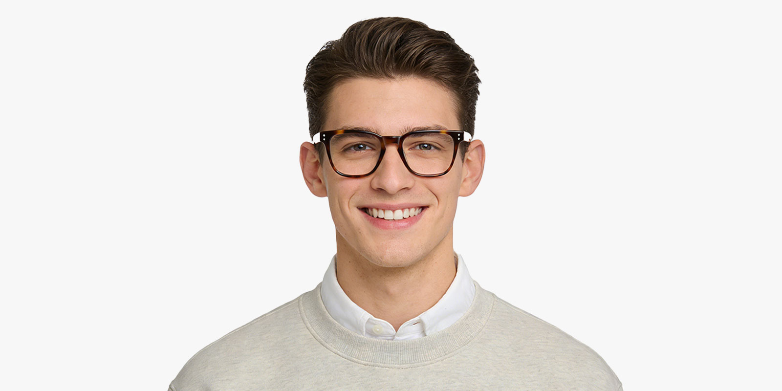 9887TL-Semiye-tortoise_pc_2