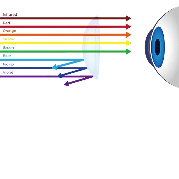 Eye Protection in the Digital Age: A Comprehensive Eye Health Approach Beyond Screens