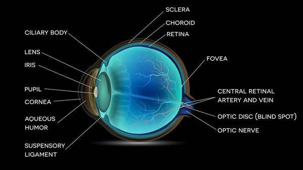 Quanto lontano puoi vedere?