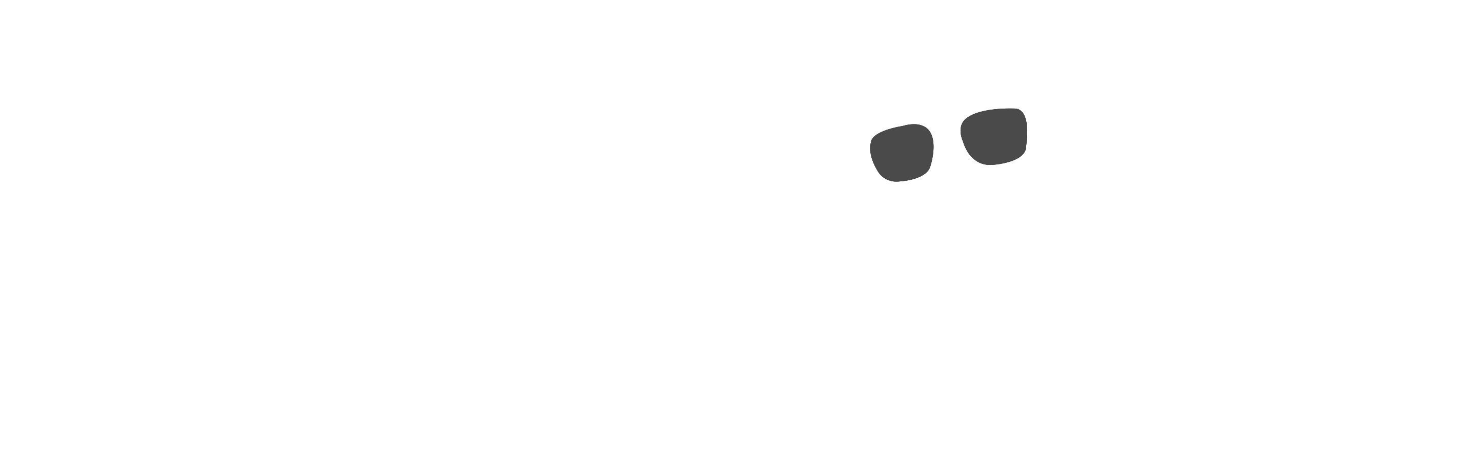 Photochromic Glasses